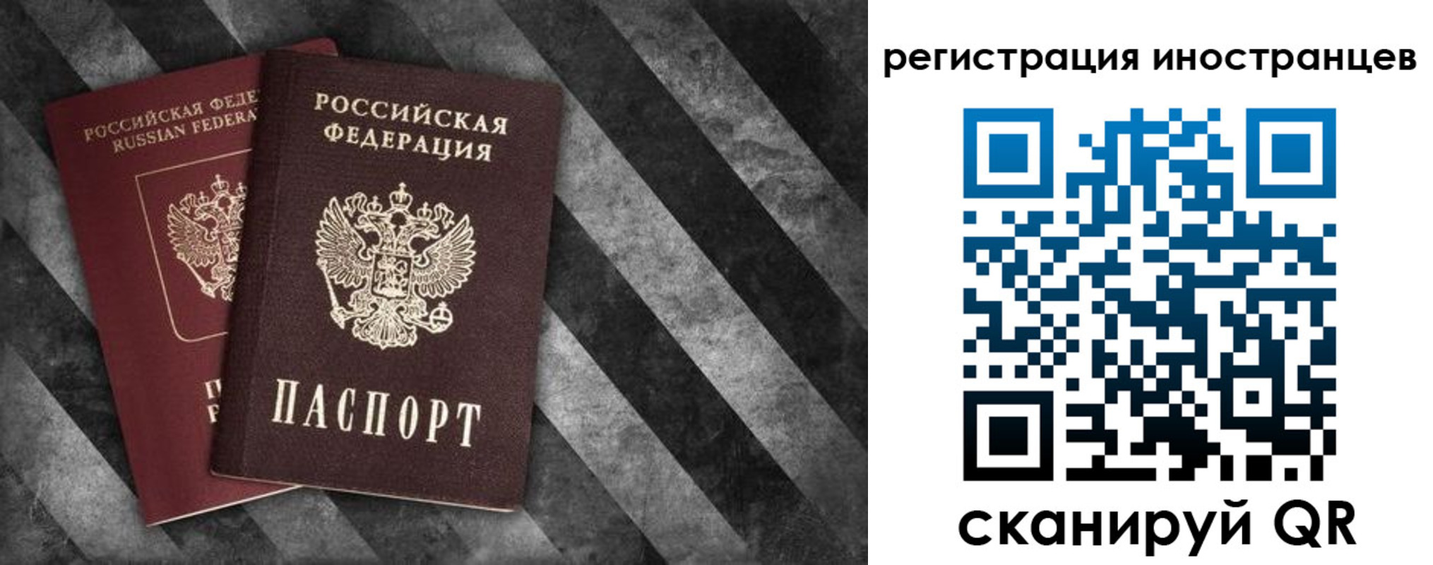 прописка для школы в Светлограде